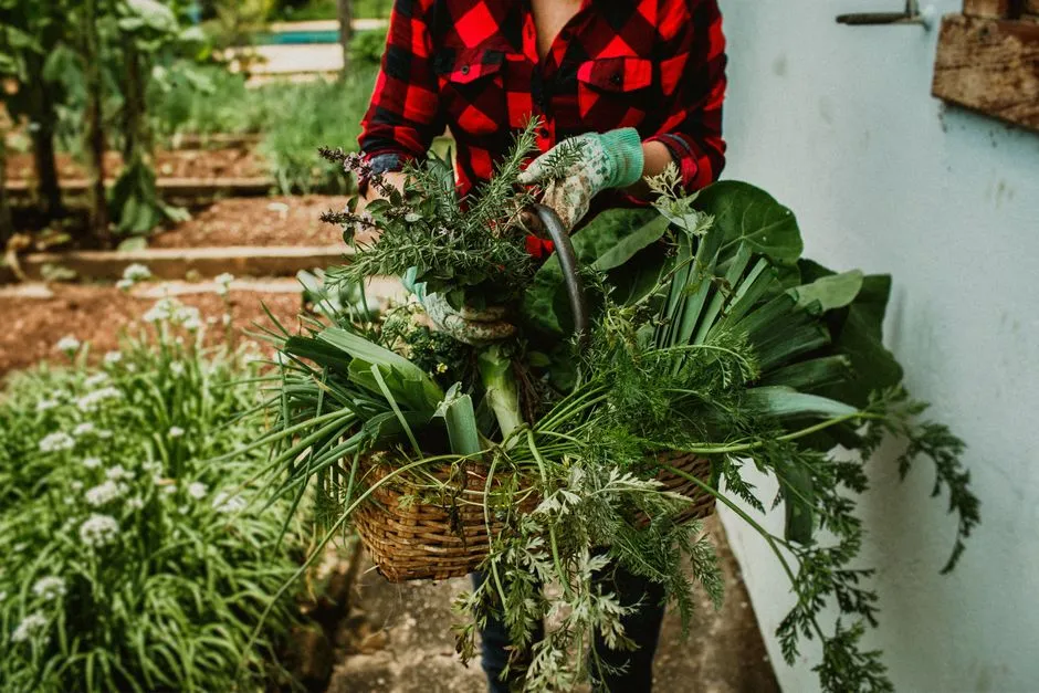 White Sage Alternatives: 7 Sustainable Herbs to Grow or Buy